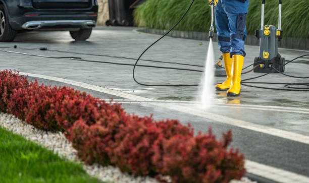 Best Spring Cleaning  in New Sharon, IA